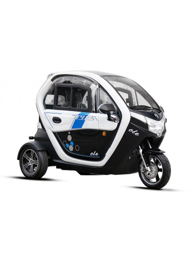 COCHE ELÉCTRICO CEE  GECO OLE 2000