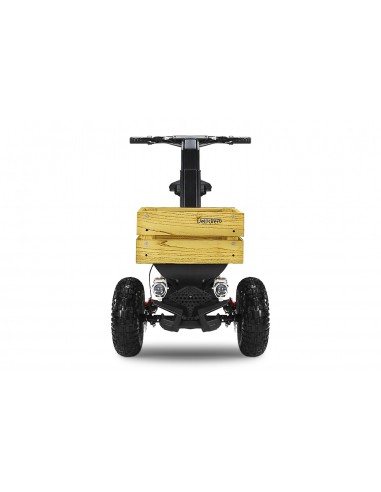 MAD TRUCK 2000 2000W 60V R6 LITIO