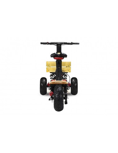 MAD TRUCK 2000 2000W 60V R6 LITIO