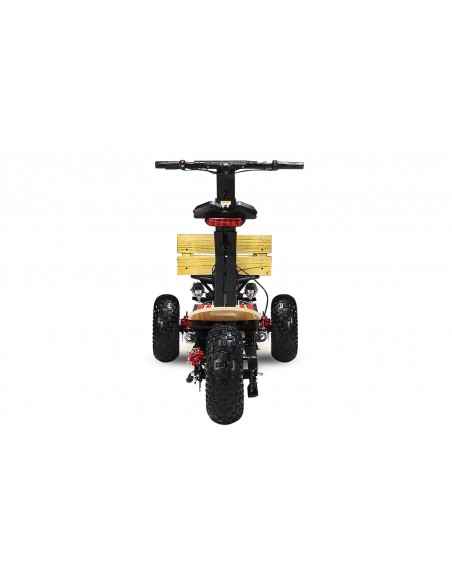 MAD TRUCK 2000 2000W 60V R6 LITIO