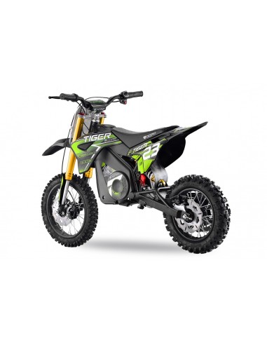 Eco TIGER DELUXE 1100W 36v 13Ah  LITIO 12/10