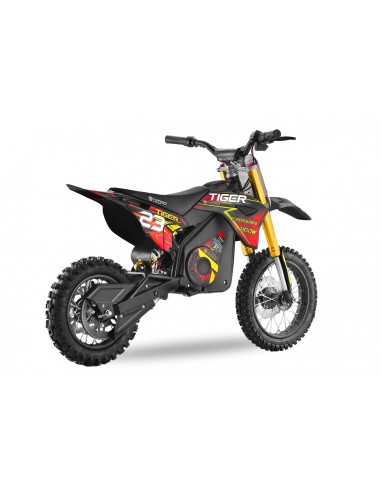 Eco TIGER DELUXE 1100W 36v 13Ah  LITIO 12/10