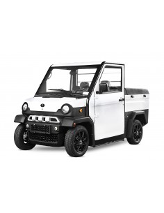 COCHE ELÉCTRICO CEE TRAVEL X4 2