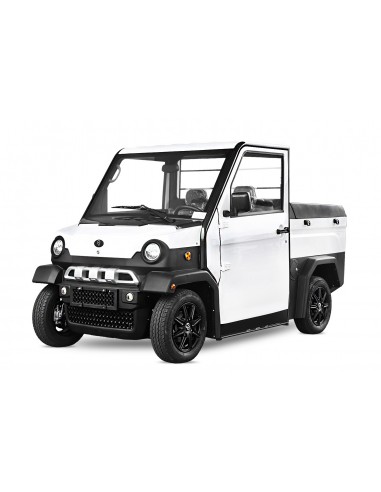 COCHE ELÉCTRICO CEE TRAVEL X4