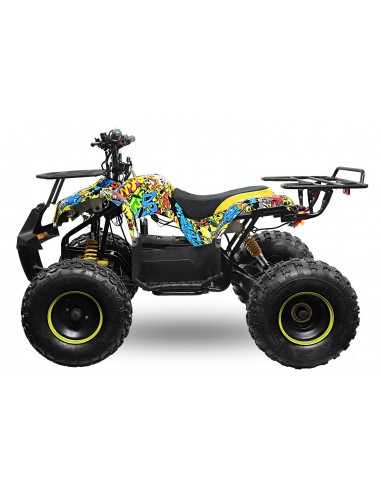 ECO TORONTO 1000W 48V R8 20Ah  SHAFT DRIVE c/ diferencial en eje