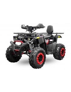 RUGBY CVT 180cc V2 RS10 Maxi Aut/ + marcha atrás