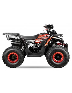 Quablo Turbo RS8-A midi Quad 125cc 8 "Aut. + RG Kinderquad ATV Platinum 2