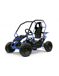 Eco Gokart Crosser 1000W 36V 6 pulgadas 2-etapas