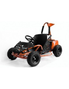 ECO BUGGY GOKID 1000W 48V R6 2