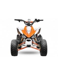 ECO SPEEDY S8 1000W 48V R8 2