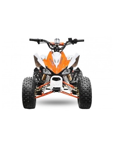 ECO SPEEDY S8 1000W 48V R8