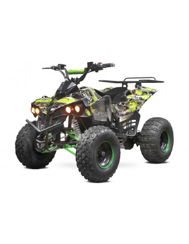 QUAD ECO Warrior Grafiti  S8 1000W 48V R8 shaft drive /diferencial