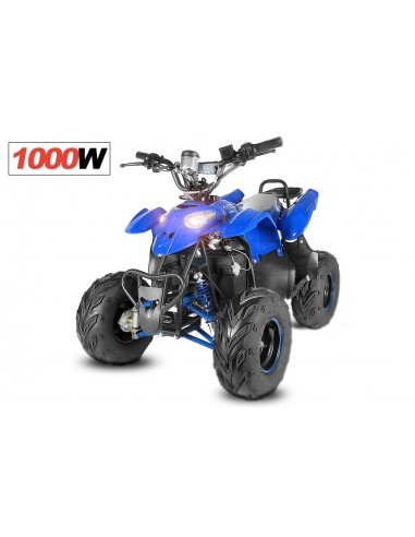 ECO RAZER 1000W 48V R7