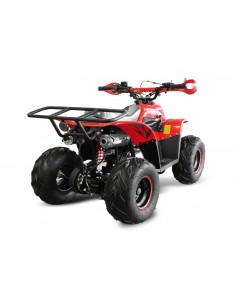 Big foot 125cc 4T R7 aut. c/ marcha atrás 2