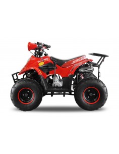 Big foot 125cc 4T R7 aut. c/ marcha atrás