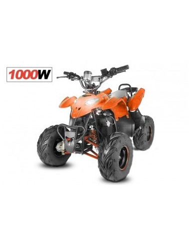 ECO RAZER 1000W 48V R7