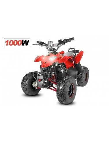 ECO RAZER 1000W 48V R7