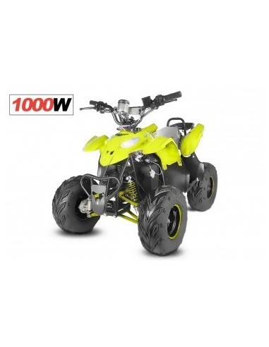 ECO RAZER 1000W 48V R7