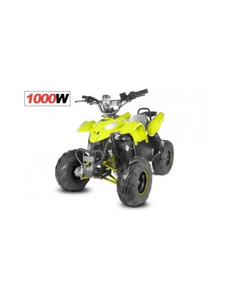 ECO RAZER 1000W 48V R7