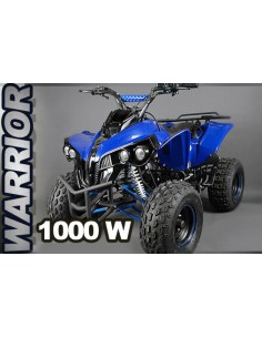 ECO warrior S8 1000W 48V R8 xxl 2