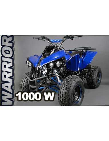 ECO warrior S8 1000W 48V R8 xxl