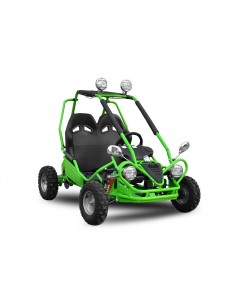 Eco buggy 450w 36v xxl R6 2 etapas 2