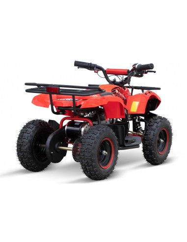 ECO Torino GRAFFITI 1000w 48v R6 3 etapas luz batería extraible