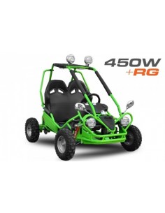 Eco buggy 450w 36v xxl R6 2 etapas