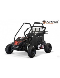 Eco buggy Gokart 1000W 60V 20ah 6 /7 pulgadas 3-etapas+ marcha atras