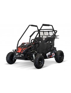 Eco buggy Gokart 1000W 60V 20ah 6 /7 pulgadas 3-etapas+ marcha atras 2