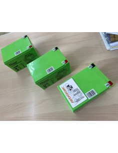 PACK BATERIAS AGM 36V 12AH