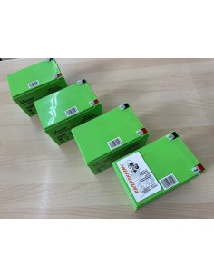 PACK BATERIAS AGM 48V 12AH