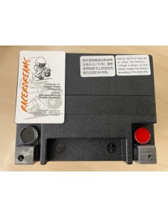 BATERIA  ORIGINAL  ATV / UTV  CF MOTO 2