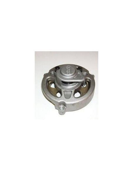 Campana con piñón 6 dientes