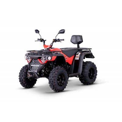 ATV LINHAI M 210 2X4