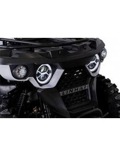 ATV LINHAI M 210 2X4 2