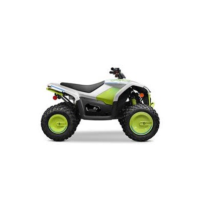 CFORCE EV 110 YOUTH ATV 1500W 44V
