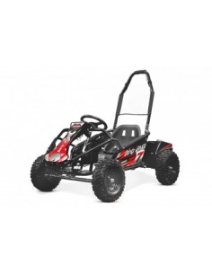 GOKID DIRTY  ECO 1000W 48V  TODO TERRENO 2