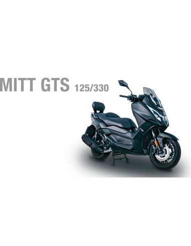 MITT GTS 125