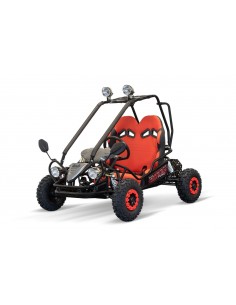 Eco buggy 450w 36v xxl R6 2 etapas