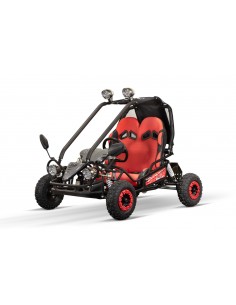 Eco buggy Hunt 650w 36v R6 2 etapas