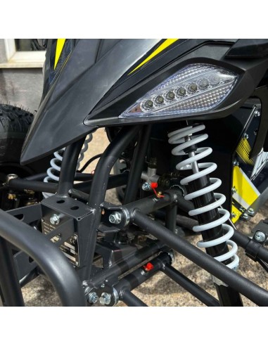 MINIQUAD 1500W 60V IMR THUNDER