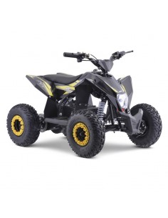 MINIQUAD ELÉCTRICO IMR WR1000 2