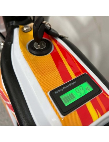 MINIMOTO ELECTRICA E-SX 48V 1600W 10/10  IMR...