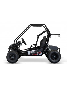 Eco buggy Gokart 2000W 60V 20ah 6 /7 pulgadas 3-etapas+ marcha atras