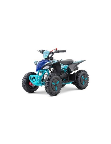 Replay SNOWY  PROFILE  L SPORT 49cc R6