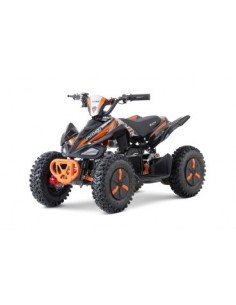 ECO Phyton Snowy-Profile L Sport 1000w 36v R6 3 etapas 2