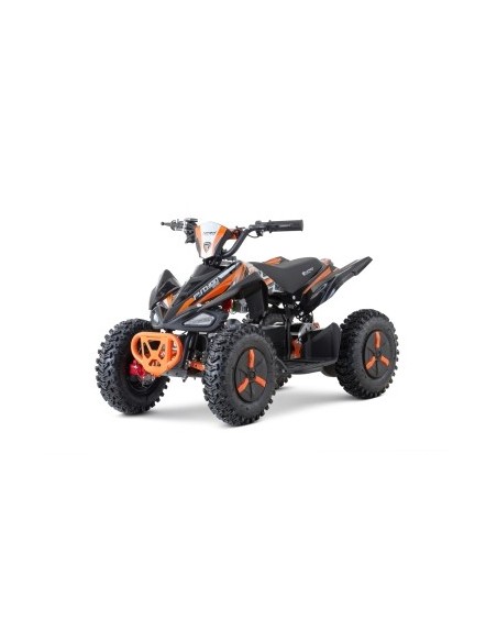 ECO Phyton Snowy-Profile L Sport 1000w 36v R6 3 etapas