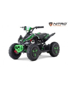 ECO Phyton Snowy-Profile L Sport 1000w 36v R6 3 etapas