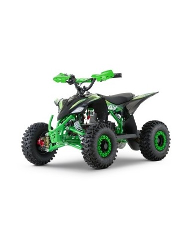 ECO REPLAY Sport SNOWY  XL 1200w 48v R6